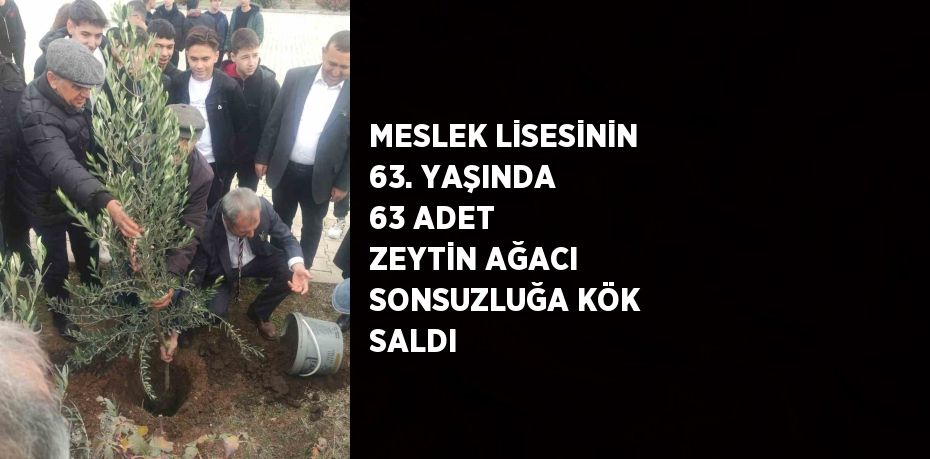 MESLEK LİSESİNİN 63. YAŞINDA 63 ADET ZEYTİN AĞACI SONSUZLUĞA KÖK SALDI