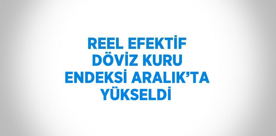 REEL EFEKTİF DÖVİZ KURU ENDEKSİ ARALIK’TA YÜKSELDİ