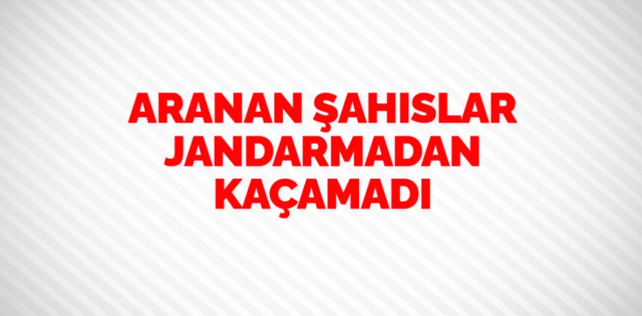 ARANAN ŞAHISLAR JANDARMADAN KAÇAMADI