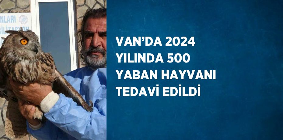 VAN’DA 2024 YILINDA 500 YABAN HAYVANI TEDAVİ EDİLDİ