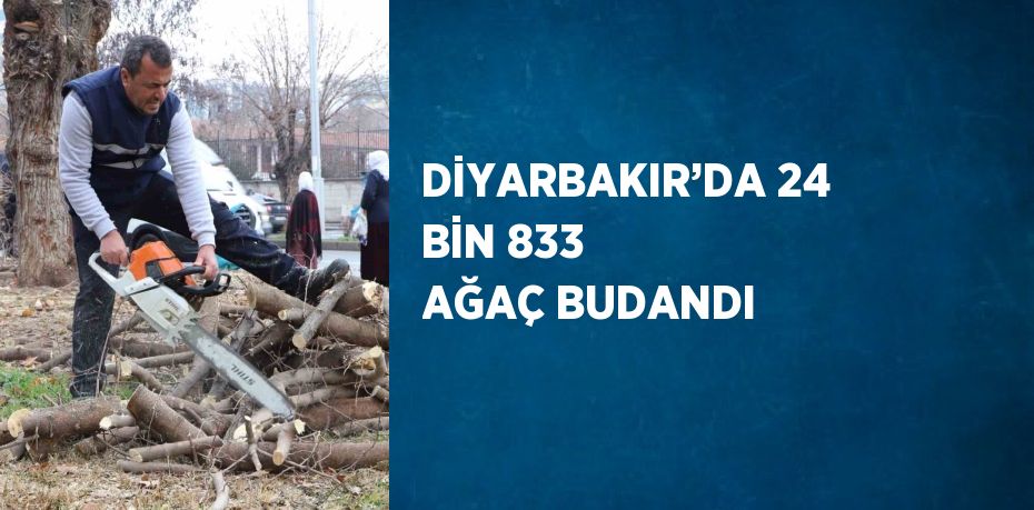 DİYARBAKIR’DA 24 BİN 833 AĞAÇ BUDANDI
