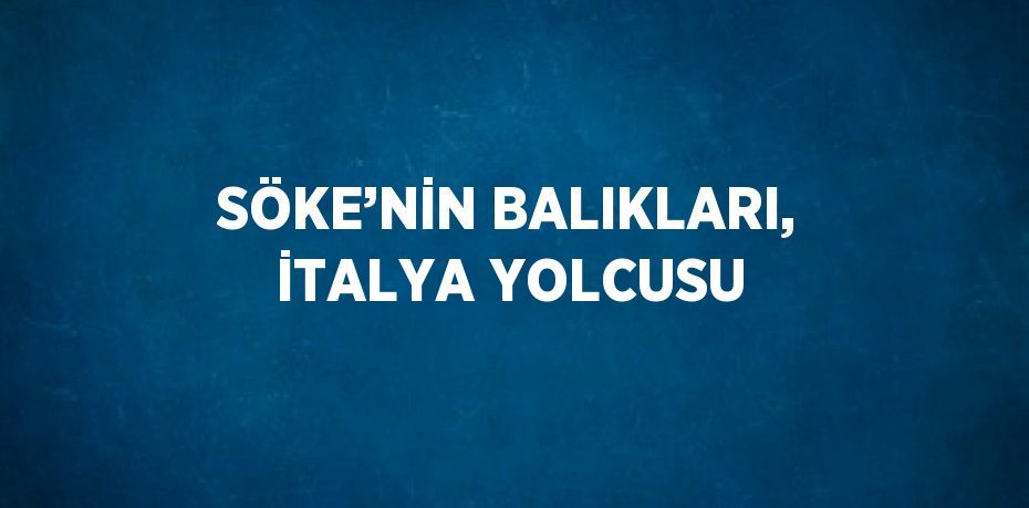 SÖKE’NİN BALIKLARI, İTALYA YOLCUSU