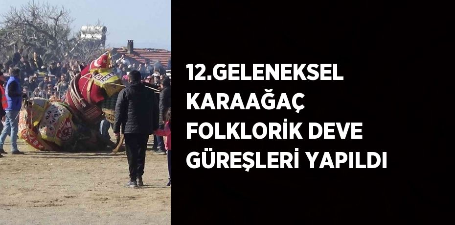 12.GELENEKSEL KARAAĞAÇ FOLKLORİK DEVE GÜREŞLERİ YAPILDI