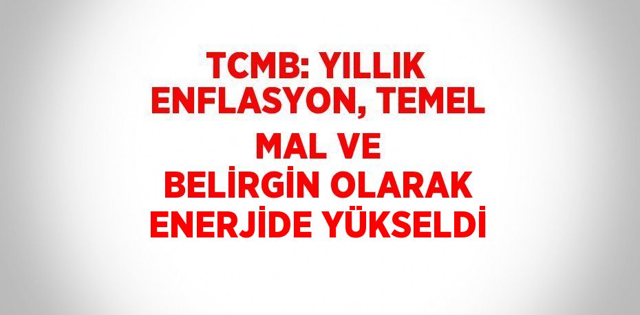 TCMB: YILLIK ENFLASYON, TEMEL MAL VE BELİRGİN OLARAK ENERJİDE YÜKSELDİ