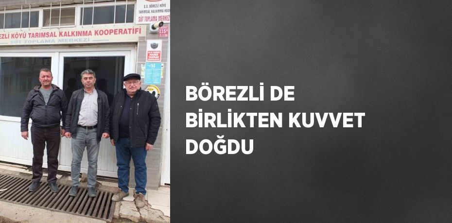 BÖREZLİ DE BİRLİKTEN KUVVET DOĞDU