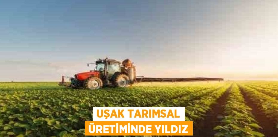 UŞAK TARIMSAL ÜRETİMİNDE YILDIZ