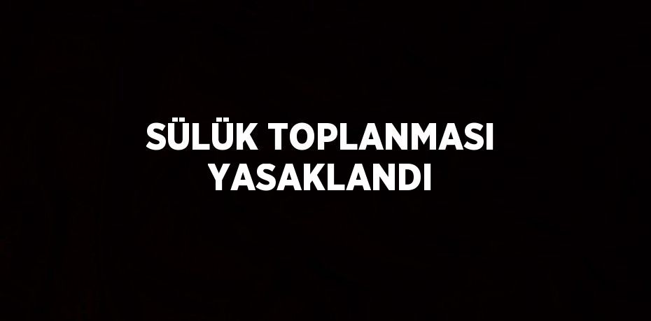 SÜLÜK TOPLANMASI YASAKLANDI