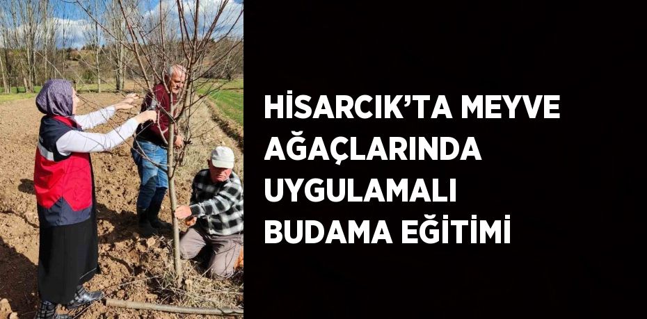 HİSARCIK’TA MEYVE AĞAÇLARINDA UYGULAMALI BUDAMA EĞİTİMİ