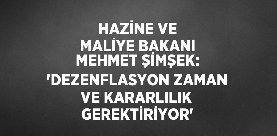 HAZİNE VE MALİYE BAKANI MEHMET ŞİMŞEK: 'DEZENFLASYON ZAMAN VE KARARLILIK GEREKTİRİYOR'