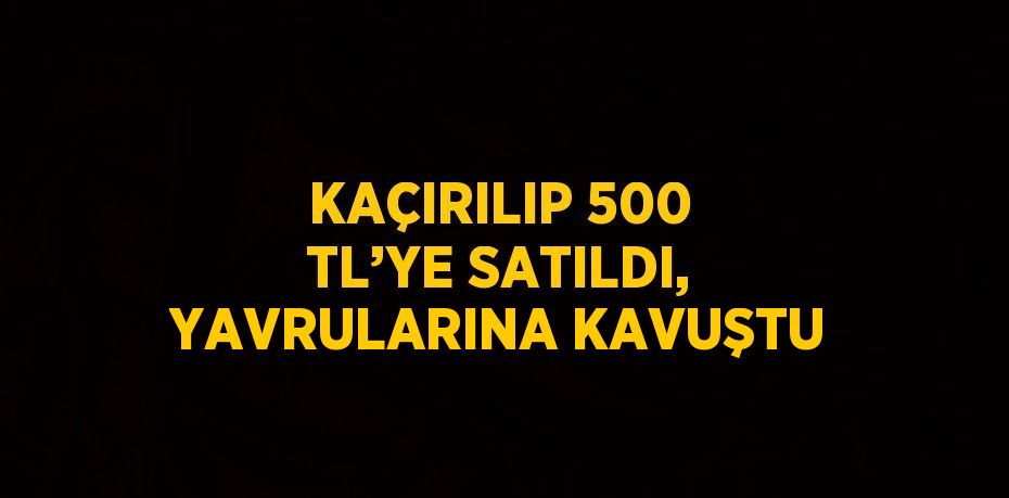 KAÇIRILIP 500 TL’YE SATILDI, YAVRULARINA KAVUŞTU