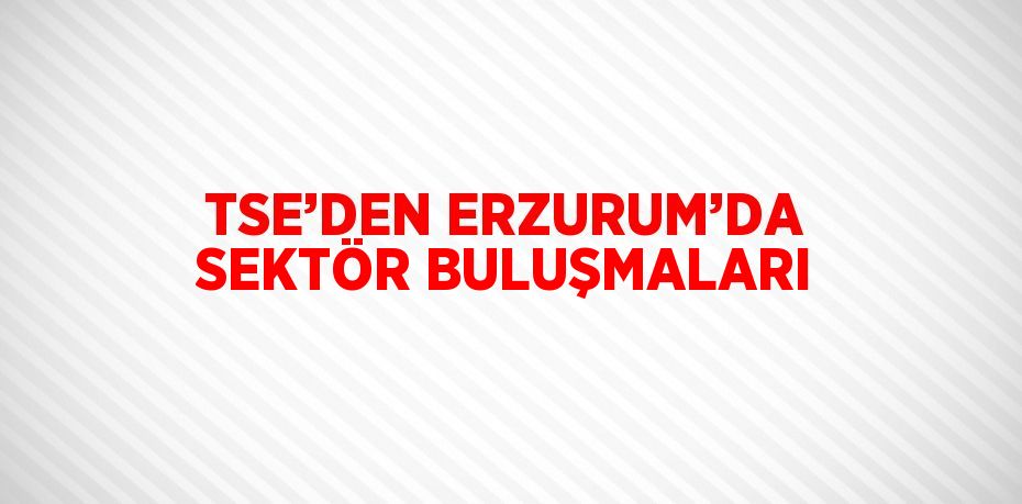 TSE’DEN ERZURUM’DA SEKTÖR BULUŞMALARI