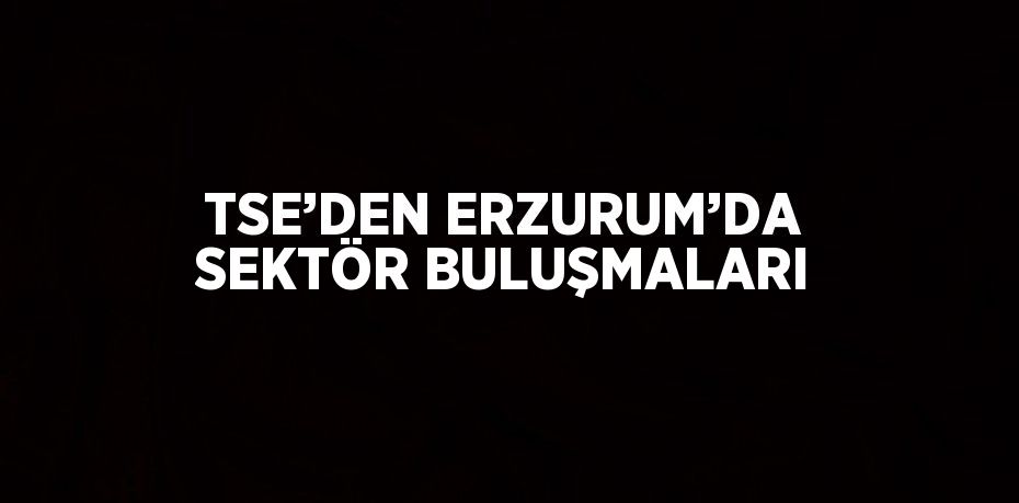 TSE’DEN ERZURUM’DA SEKTÖR BULUŞMALARI