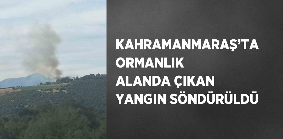 KAHRAMANMARAŞ’TA ORMANLIK ALANDA ÇIKAN YANGIN SÖNDÜRÜLDÜ