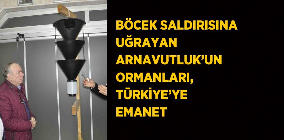 BÖCEK SALDIRISINA UĞRAYAN ARNAVUTLUK’UN ORMANLARI, TÜRKİYE’YE EMANET