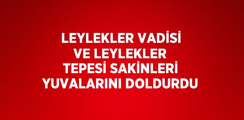 LEYLEKLER VADİSİ VE LEYLEKLER TEPESİ SAKİNLERİ YUVALARINI DOLDURDU