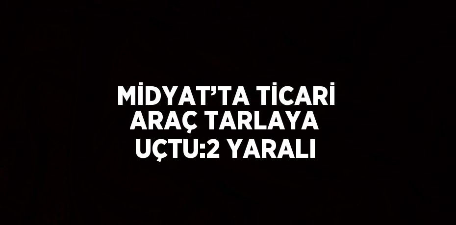 MİDYAT’TA TİCARİ ARAÇ TARLAYA UÇTU:2 YARALI