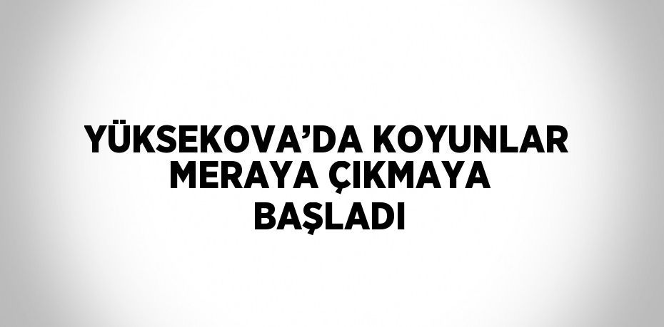 YÜKSEKOVA’DA KOYUNLAR MERAYA ÇIKMAYA BAŞLADI