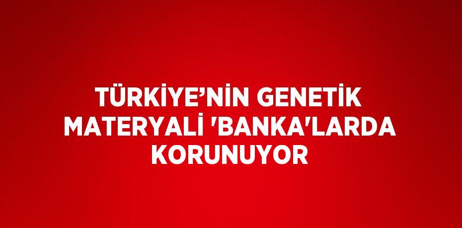 TÜRKİYE’NİN GENETİK MATERYALİ 'BANKA'LARDA KORUNUYOR