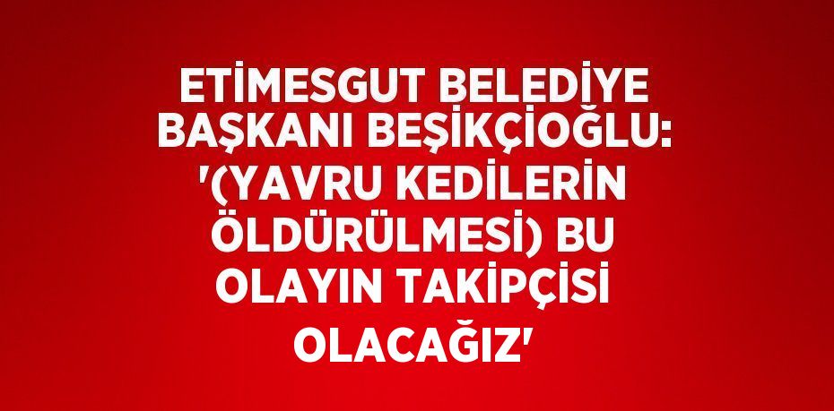 ETİMESGUT BELEDİYE BAŞKANI BEŞİKÇİOĞLU: '(YAVRU KEDİLERİN ÖLDÜRÜLMESİ) BU OLAYIN TAKİPÇİSİ OLACAĞIZ'