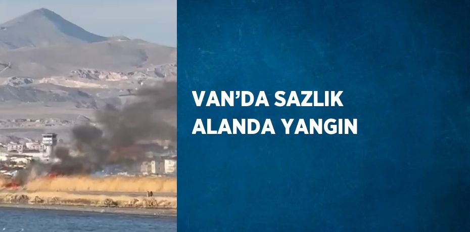 VAN’DA SAZLIK ALANDA YANGIN