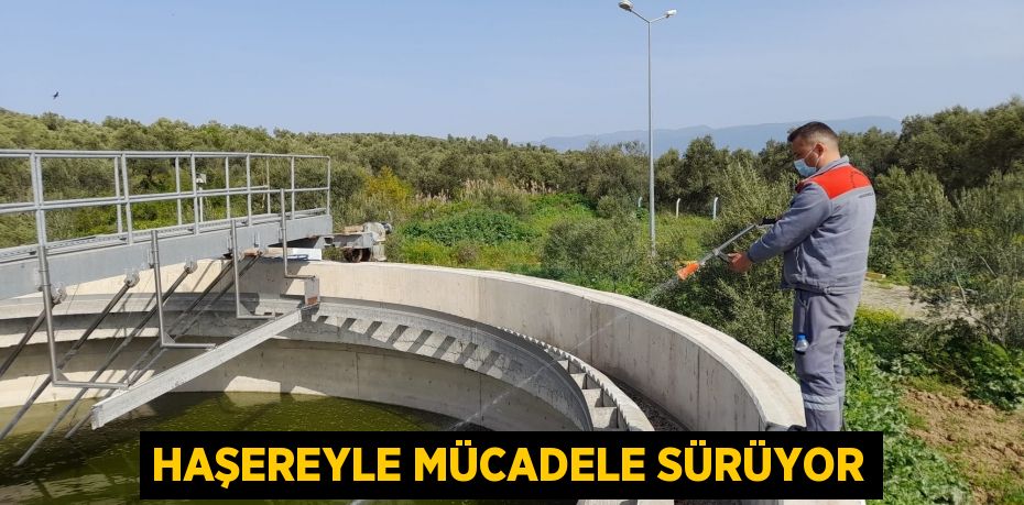 HAŞEREYLE MÜCADELE SÜRÜYOR