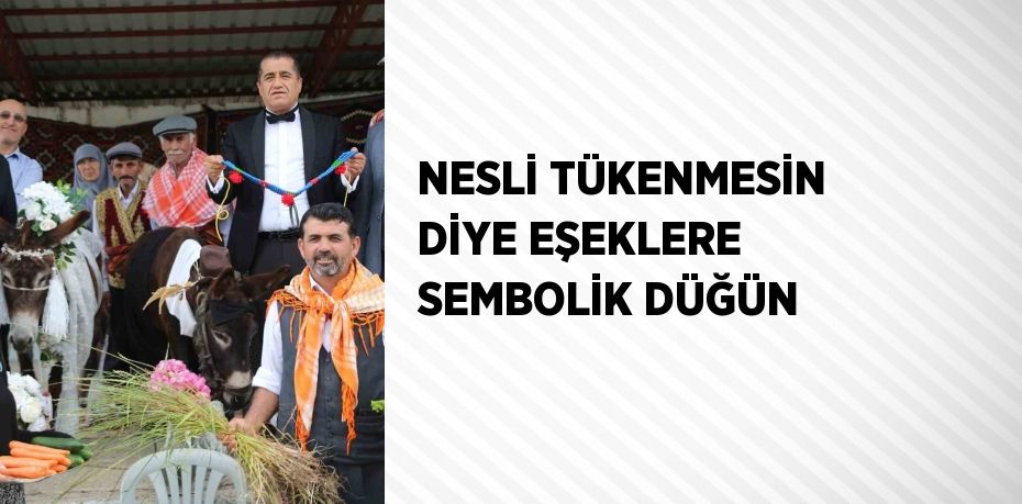 NESLİ TÜKENMESİN DİYE EŞEKLERE SEMBOLİK DÜĞÜN