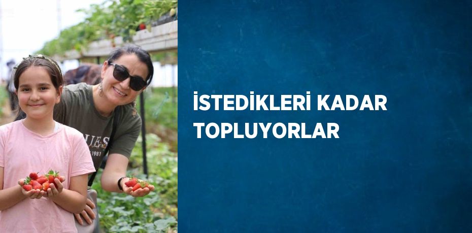 İSTEDİKLERİ KADAR TOPLUYORLAR