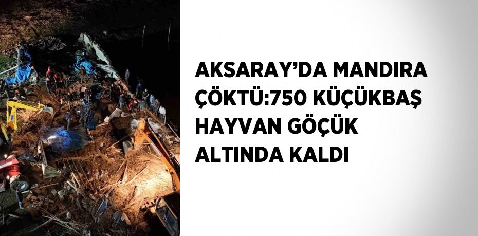 AKSARAY’DA MANDIRA ÇÖKTÜ:750 KÜÇÜKBAŞ HAYVAN GÖÇÜK ALTINDA KALDI