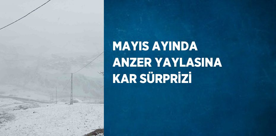 MAYIS AYINDA ANZER YAYLASINA KAR SÜRPRİZİ