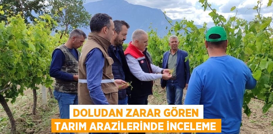 DOLUDAN ZARAR GÖREN TARIM ARAZİLERİNDE İNCELEME