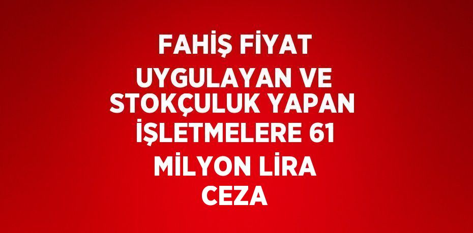 FAHİŞ FİYAT UYGULAYAN VE STOKÇULUK YAPAN İŞLETMELERE 61 MİLYON LİRA CEZA