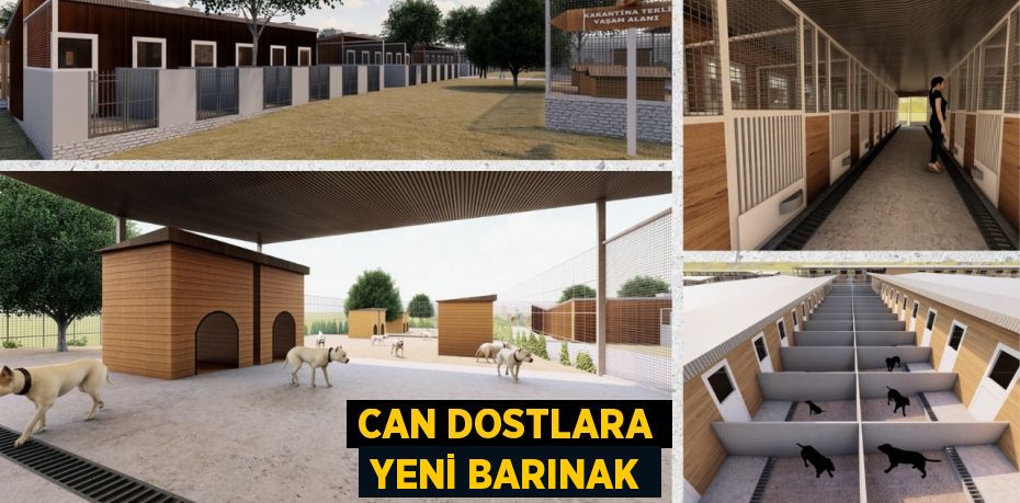 CAN DOSTLARA YENİ BARINAK