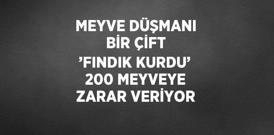 MEYVE DÜŞMANI BİR ÇİFT ’FINDIK KURDU’ 200 MEYVEYE ZARAR VERİYOR