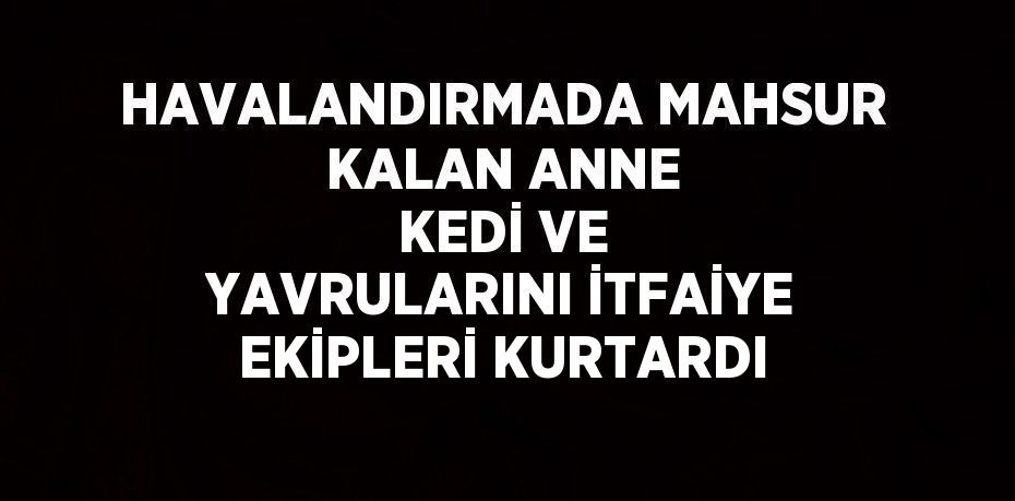 HAVALANDIRMADA MAHSUR KALAN ANNE KEDİ VE YAVRULARINI İTFAİYE EKİPLERİ KURTARDI