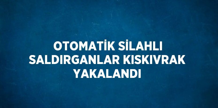 OTOMATİK SİLAHLI SALDIRGANLAR KISKIVRAK YAKALANDI