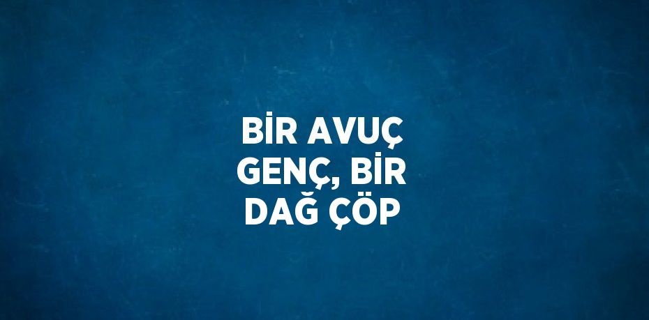 BİR AVUÇ GENÇ, BİR DAĞ ÇÖP