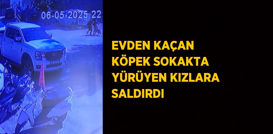 EVDEN KAÇAN KÖPEK SOKAKTA YÜRÜYEN KIZLARA SALDIRDI