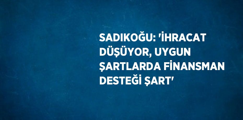 SADIKOĞU: 'İHRACAT DÜŞÜYOR, UYGUN ŞARTLARDA FİNANSMAN DESTEĞİ ŞART'