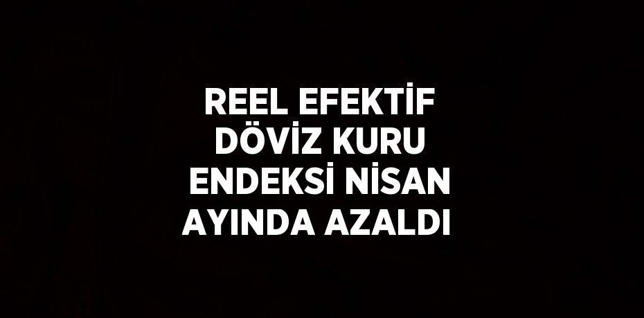 REEL EFEKTİF DÖVİZ KURU ENDEKSİ NİSAN AYINDA AZALDI