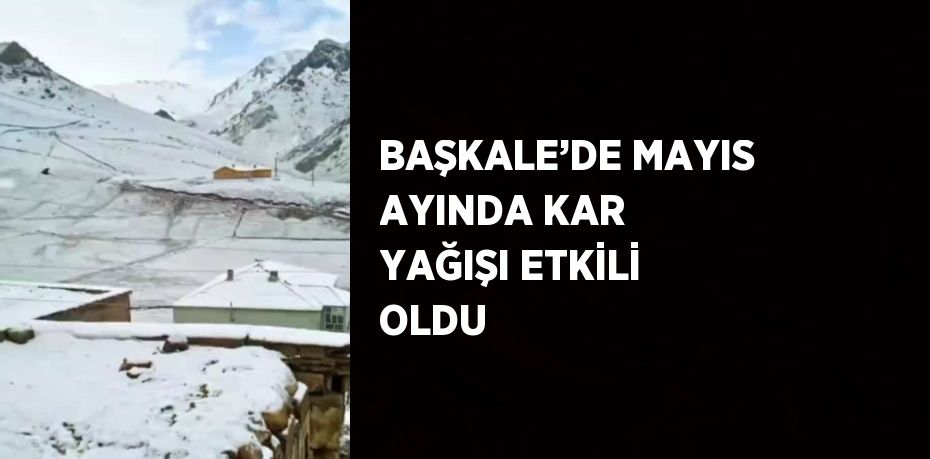 BAŞKALE’DE MAYIS AYINDA KAR YAĞIŞI ETKİLİ OLDU