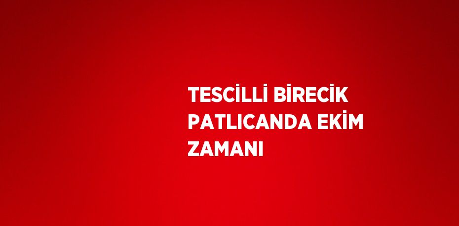 TESCİLLİ BİRECİK PATLICANDA EKİM ZAMANI