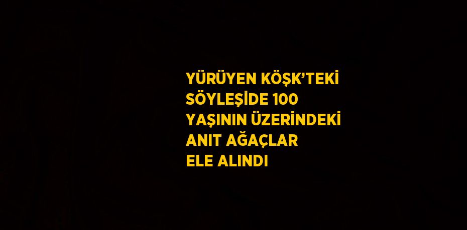 YÜRÜYEN KÖŞK’TEKİ SÖYLEŞİDE 100 YAŞININ ÜZERİNDEKİ ANIT AĞAÇLAR ELE ALINDI