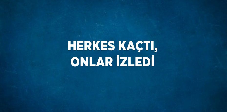 HERKES KAÇTI, ONLAR İZLEDİ