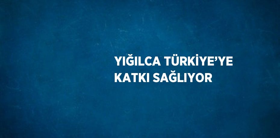 YIĞILCA TÜRKİYE’YE KATKI SAĞLIYOR