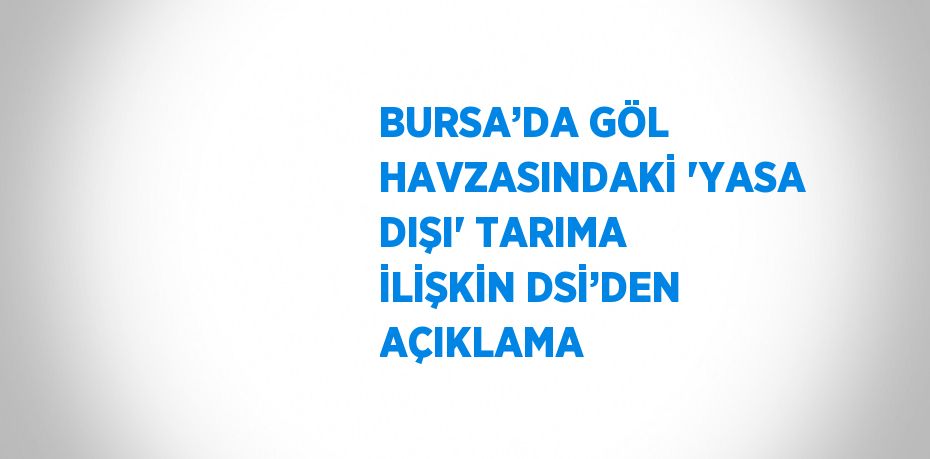 BURSA’DA GÖL HAVZASINDAKİ 'YASA DIŞI' TARIMA İLİŞKİN DSİ’DEN AÇIKLAMA