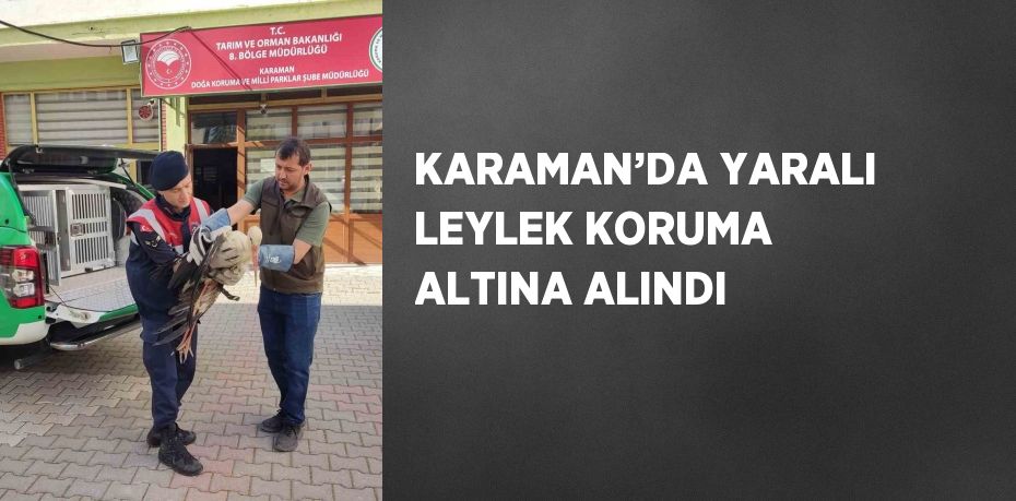 KARAMAN’DA YARALI LEYLEK KORUMA ALTINA ALINDI