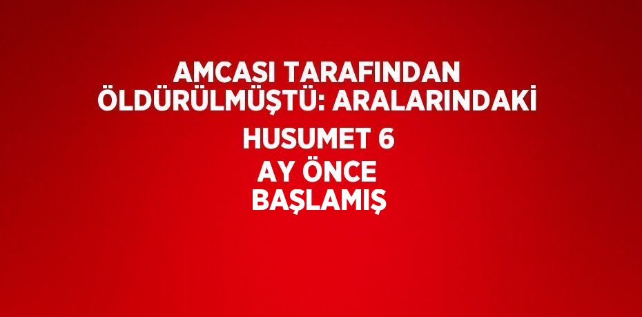 AMCASI TARAFINDAN ÖLDÜRÜLMÜŞTÜ: ARALARINDAKİ HUSUMET 6 AY ÖNCE BAŞLAMIŞ