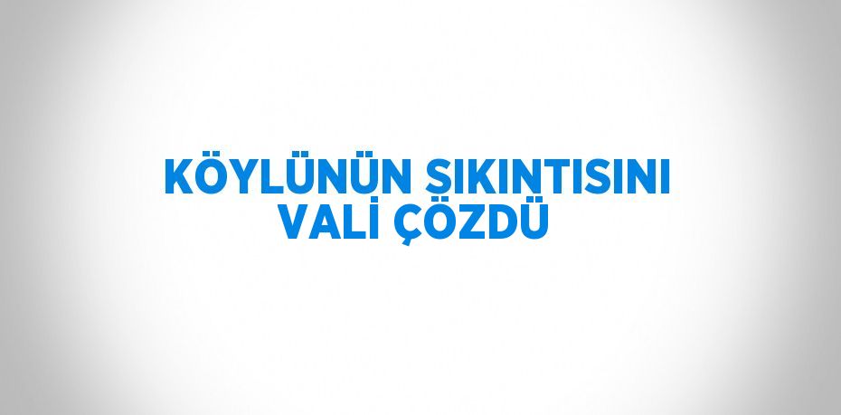 KÖYLÜNÜN SIKINTISINI VALİ ÇÖZDÜ