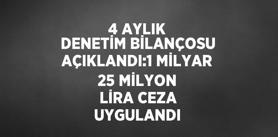 4 AYLIK DENETİM BİLANÇOSU AÇIKLANDI:1 MİLYAR 25 MİLYON LİRA CEZA UYGULANDI