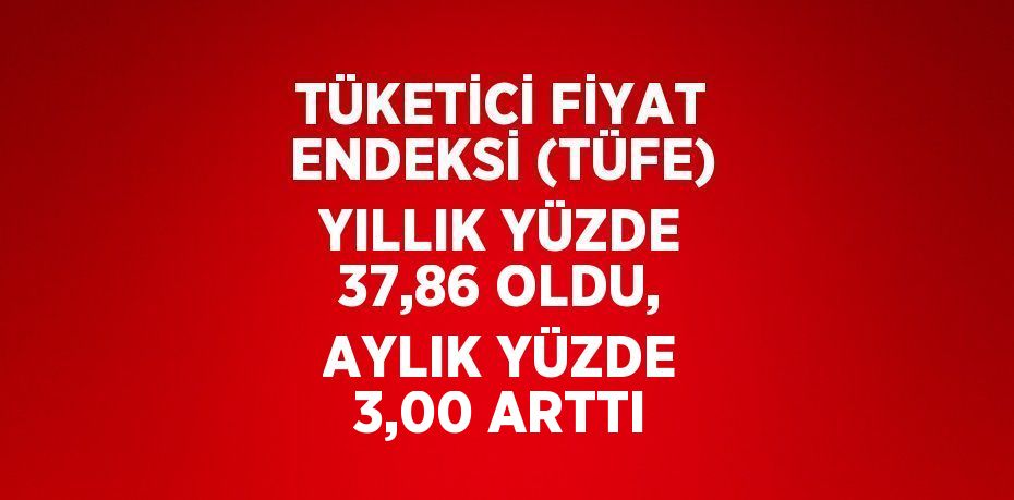 TÜKETİCİ FİYAT ENDEKSİ (TÜFE) YILLIK YÜZDE 37,86 OLDU, AYLIK YÜZDE 3,00 ARTTI